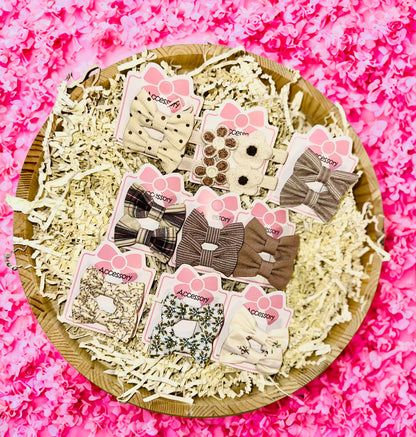 (22-piece in Box )set of girl's accessories includes cute hairpins and 2 ponytails, perfect for gifting on birthdays or any special day this with box included.